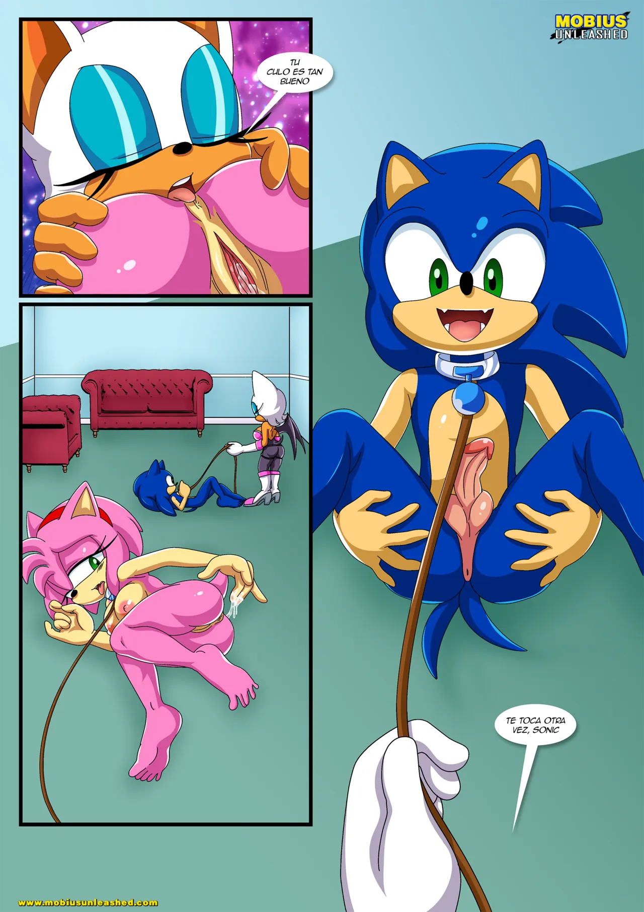 [Palcomix] Pet’s night (Sonic the Hedgehog)